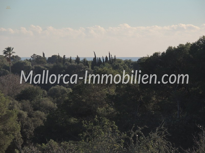 Thumbnail von CHARMANTE NEUBAU-FINCA MIT PANORAMA UND MEERWEITBLICK