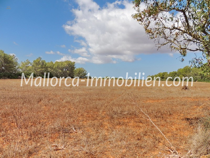Thumbnail von ROMANTISCH GELEGENE FINCA ZUM RENOVIEREN MIT SEHR GROSSEM GRUNDSTÜCK