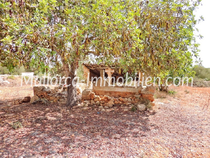 Thumbnail von ROMANTISCH GELEGENE FINCA ZUM RENOVIEREN MIT SEHR GROSSEM GRUNDSTÜCK