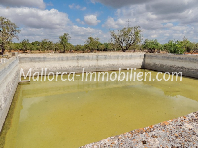 Thumbnail von ROMANTISCH GELEGENE FINCA ZUM RENOVIEREN MIT SEHR GROSSEM GRUNDSTÜCK