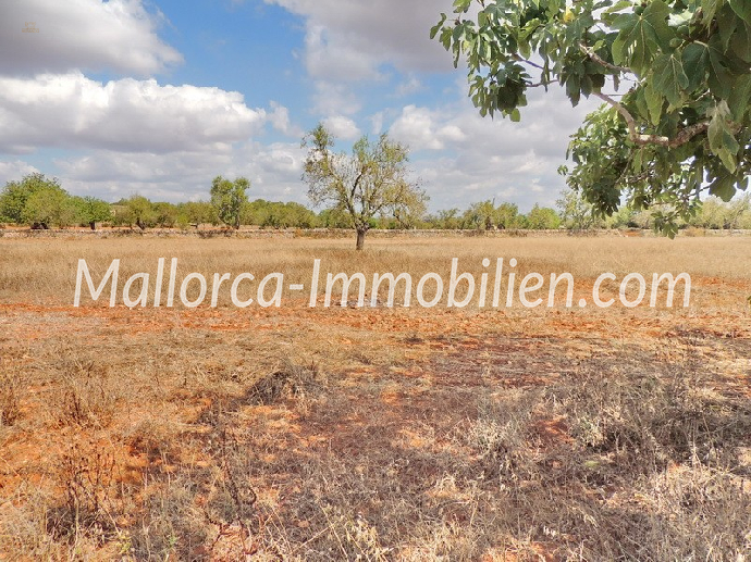 Thumbnail von ROMANTISCH GELEGENE FINCA ZUM RENOVIEREN MIT SEHR GROSSEM GRUNDSTÜCK