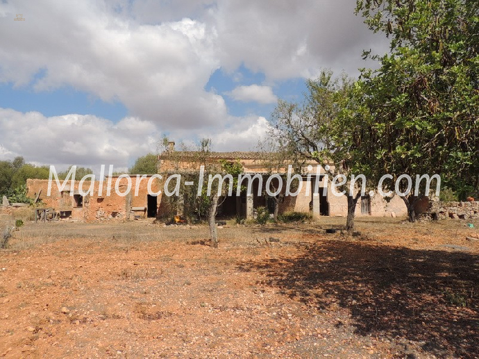 Thumbnail von ROMANTISCH GELEGENE FINCA ZUM RENOVIEREN MIT SEHR GROSSEM GRUNDSTÜCK