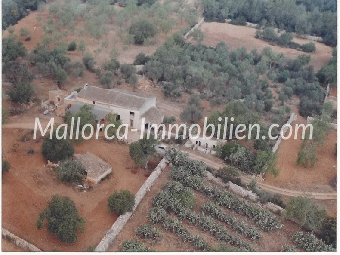 Thumbnail von ROMANTISCH GELEGENE FINCA ZUM RENOVIEREN MIT SEHR GROSSEM GRUNDSTÜCK