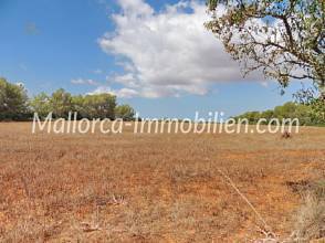 Thumbnail von ROMANTISCH GELEGENE FINCA ZUM RENOVIEREN MIT SEHR GROSSEM GRUNDSTÜCK