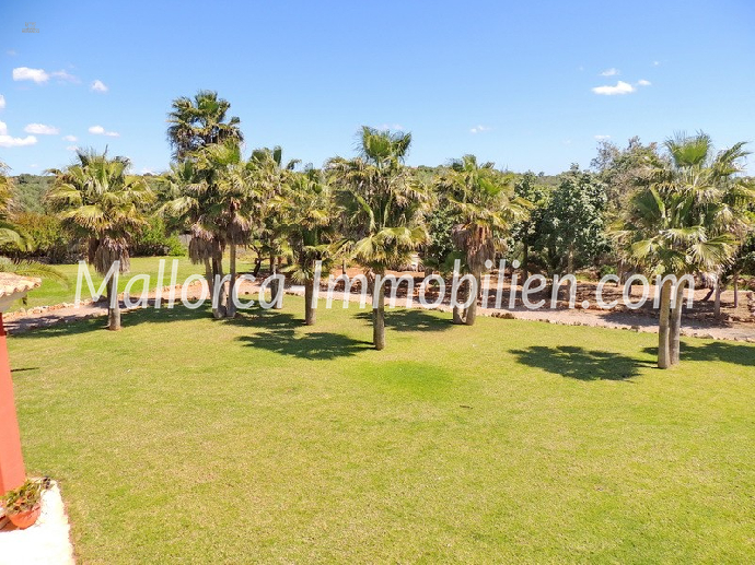 Thumbnail von AUSSERGEWÖHNLICHES FINCA-ANWESEN DER LUXUSKLASSE