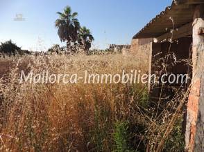 Thumbnail von PERCEEL IN DORPSSTIJL