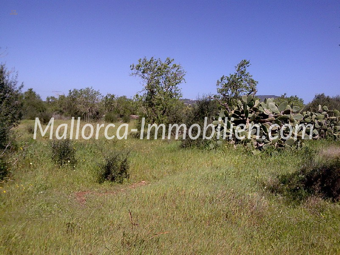 ÇOK GÜZEL BİR ARSA VEGEN BAKIŞLI