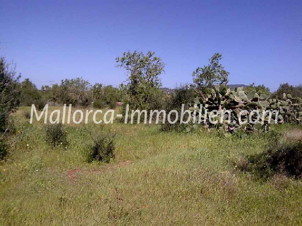 TRÈS BEAU TERRAIN AVEC VUE DÉGAGÉE