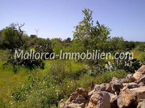 Thumbnail von ÇOK GÜZEL BİR ARSA VEGEN BAKIŞLI