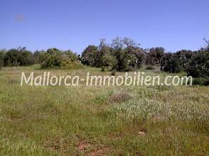 Thumbnail von ÇOK GÜZEL BİR ARSA VEGEN BAKIŞLI