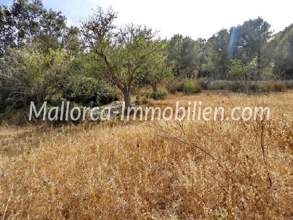 TERRAIN EN PENTE AVEC VUE SUR LA MER