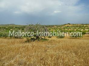 Thumbnail von Участок в холмистой местности с видом на море