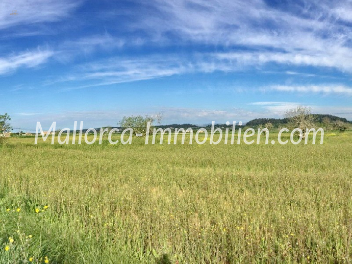 GRUNDSTÜCK MIT WEITBLICK