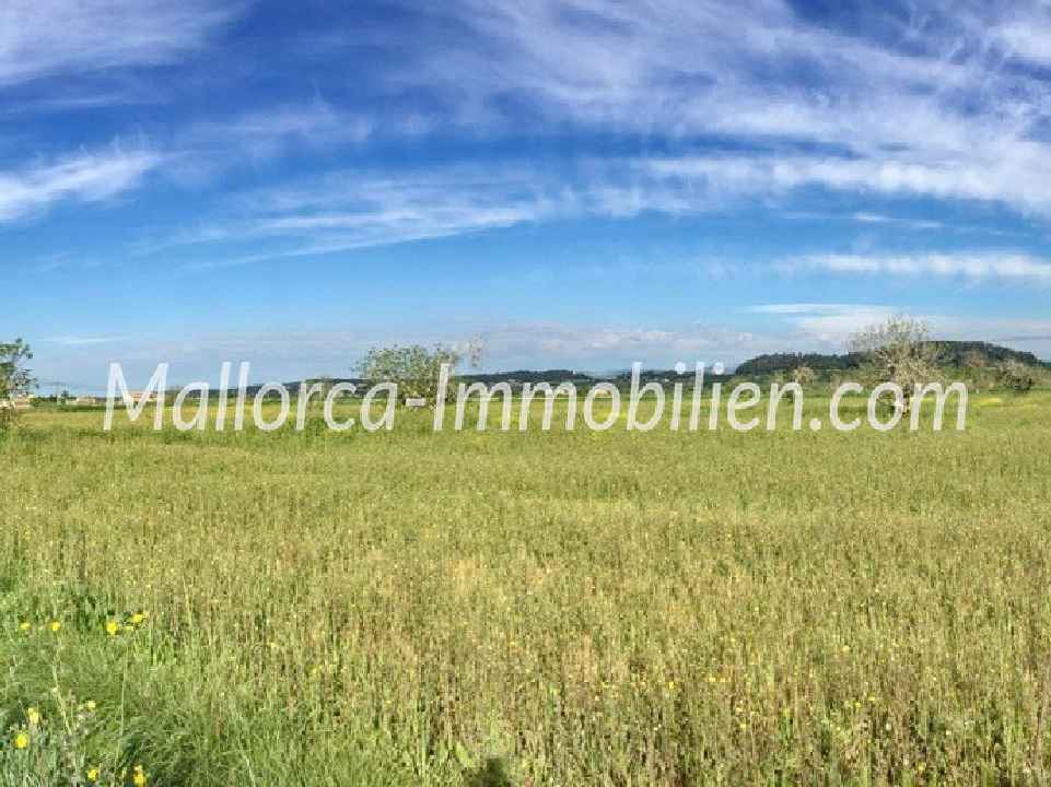 GRUNDSTÜCK MIT WEITBLICK