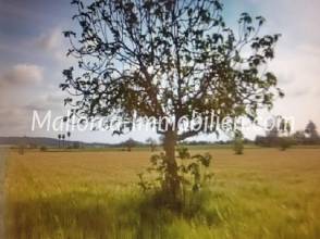 Thumbnail von GRUNDSTÜCK MIT WEITBLICK