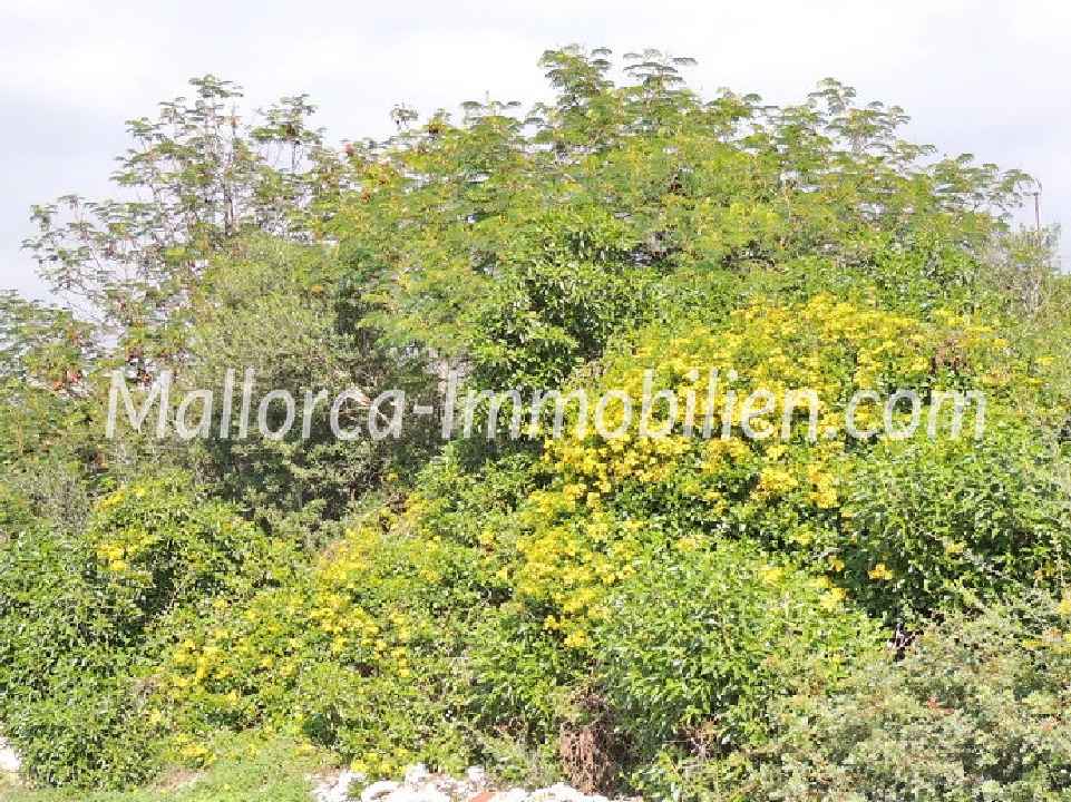 GRUNDSTÜCK IN EINFAMILIENHAUS LAGE UND NAHE DEM STRAND