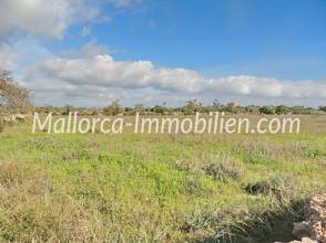 Thumbnail von BAUGRUNDSTÜCK NAHE DEN STRÄNDEN CALA LLOMBARDS UND CALA SALMONIA