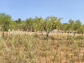 Thumbnail von GRUNDSTÜCK IN ZENTRALER LAGE