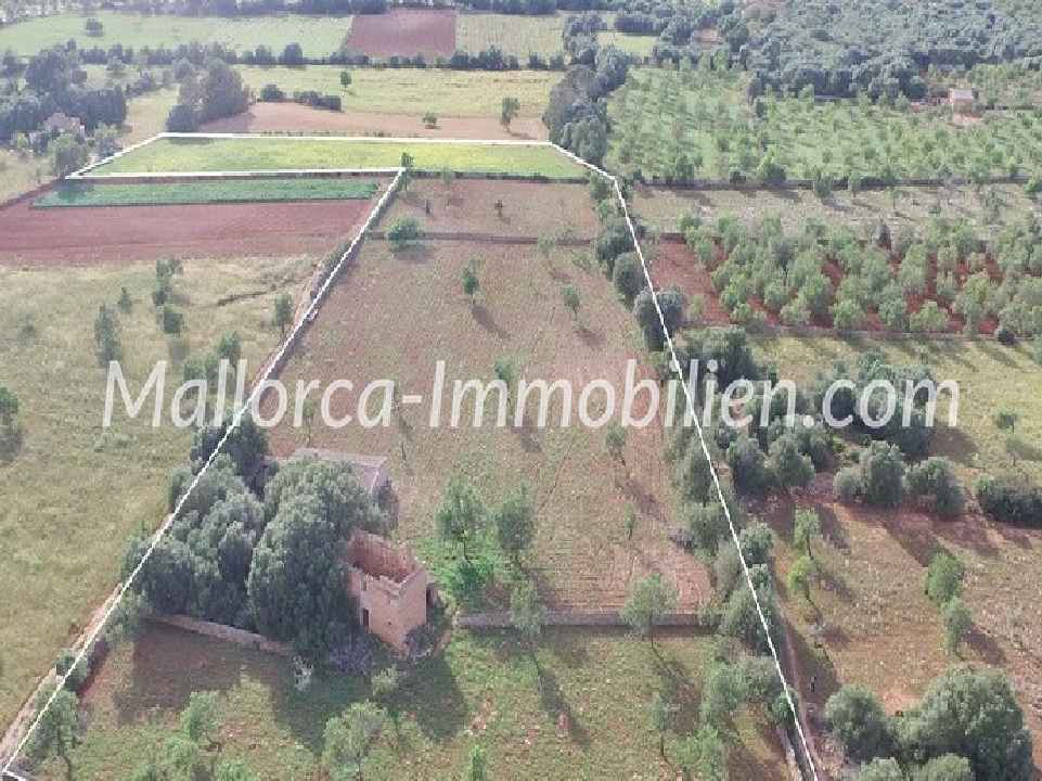 GROSSZÜGIGES GRUNDSTÜCK IN ZENTRALER LAGE