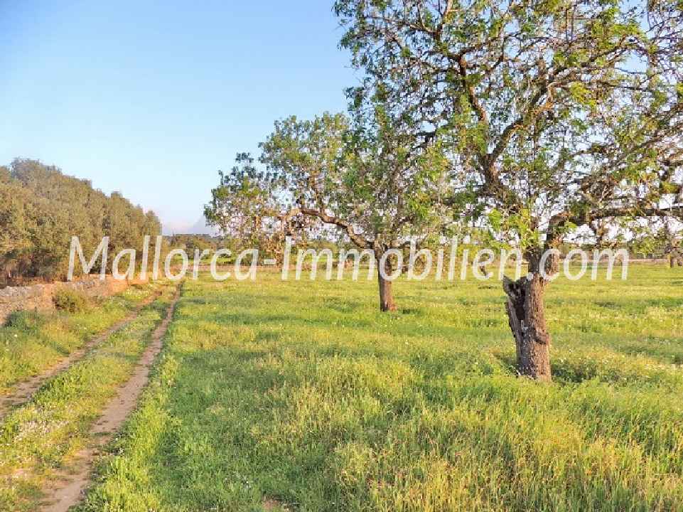 GRUNDSTÜCK MIT EINEM HERRLICHEN PANORAMABLICK