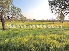 Thumbnail von GRUNDSTÜCK MIT EINEM HERRLICHEN PANORAMABLICK