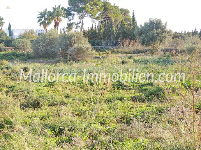 GRUNDSTÜCK IM ZENTRUM NAHE DEM YACHTHAFEN CALA D'OR