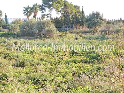 GRUNDSTÜCK IM ZENTRUM NAHE DEM YACHTHAFEN CALA D'OR