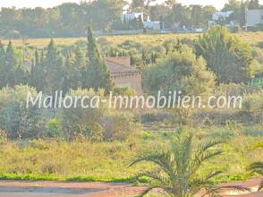 Thumbnail von GRUNDSTÜCK IM ZENTRUM NAHE DEM YACHTHAFEN CALA D'OR