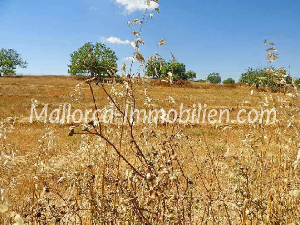 GRUNDSTÜCK IN HÜGELLAGE MIT PANORAMABLICK