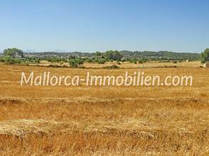 Thumbnail von GRUNDSTÜCK IN HÜGELLAGE MIT PANORAMABLICK