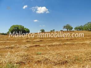 Thumbnail von GRUNDSTÜCK IN HÜGELLAGE MIT PANORAMABLICK
