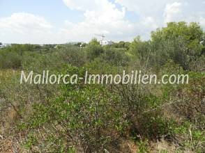 Thumbnail von BAUGRUNDSTÜCK IN CALA D'OR MIT HAFENBLICK