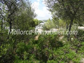 Thumbnail von BAUGRUNDSTÜCK IN CALA D'OR MIT HAFENBLICK