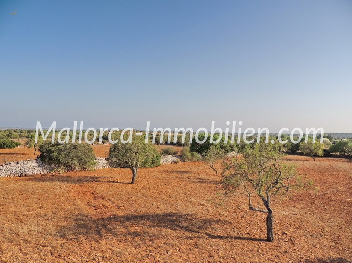 GRUNDSTÜCK MIT WEITBLICK BIS ZUM MEER