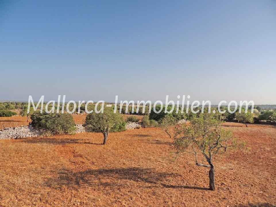 GRUNDSTÜCK MIT WEITBLICK BIS ZUM MEER