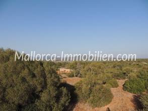 Thumbnail von GRUNDSTÜCK MIT WEITBLICK BIS ZUM MEER