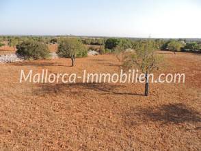 Thumbnail von GRUNDSTÜCK MIT WEITBLICK BIS ZUM MEER