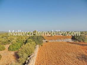 Thumbnail von GRUNDSTÜCK MIT WEITBLICK BIS ZUM MEER