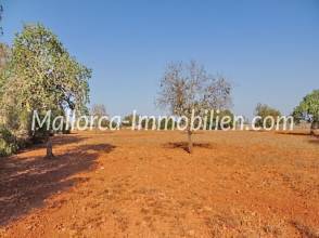 Thumbnail von GRUNDSTÜCK MIT WEITBLICK BIS ZUM MEER