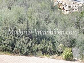 BAUGRUNDSTÜCK IN DER HAFENANLAGE VON CALA D'OR