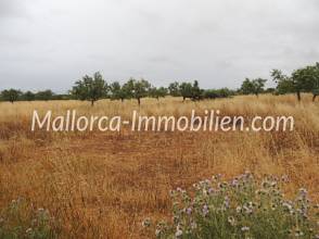 Thumbnail von WUNDERSCHÖNES GRUNDSTÜCK MIT EINEM TOLLEN BLICK ÜBER WIESEN UND FELDER