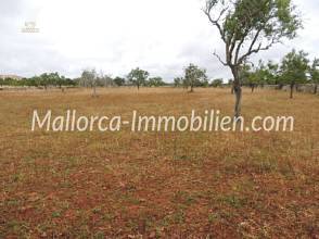 Thumbnail von WUNDERSCHÖNES GRUNDSTÜCK MIT EINEM TOLLEN BLICK ÜBER WIESEN UND FELDER