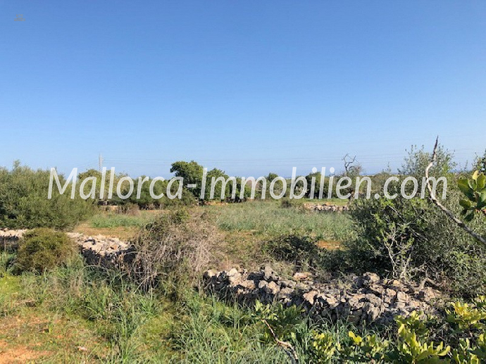 BAUGRUNDSTÜCK MIT BLICK ZUM MEER