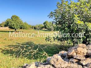 Thumbnail von BAUGRUNDSTÜCK MIT BLICK ZUM MEER