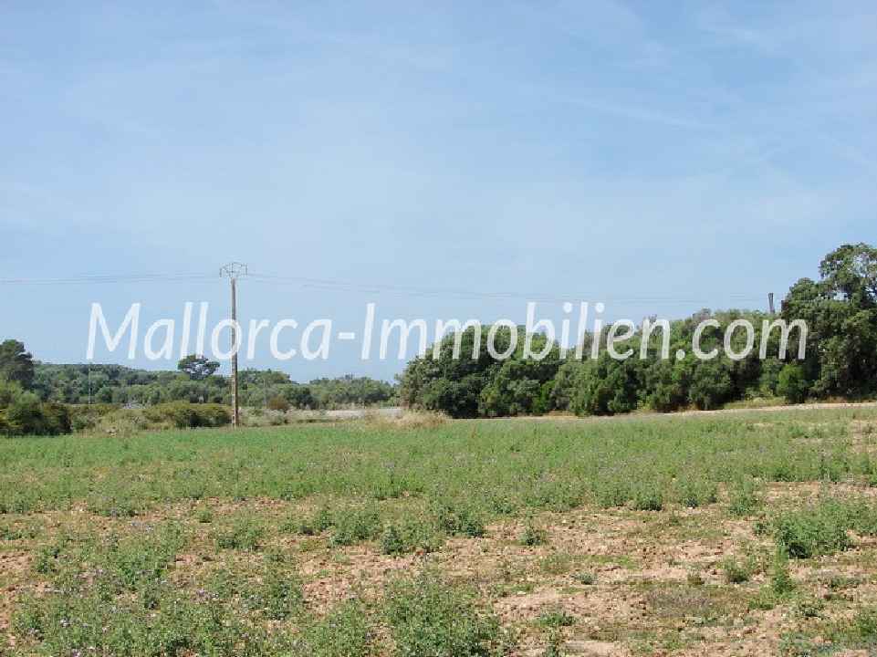 FLACHES GRUNDSTÜCK MIT PANORAMABLICK