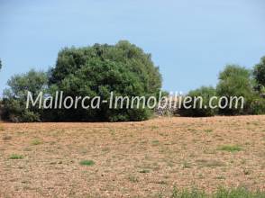 Thumbnail von FLACHES GRUNDSTÜCK MIT PANORAMABLICK