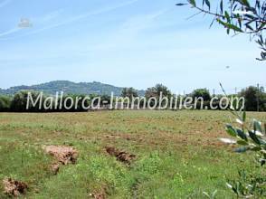 Thumbnail von FLACHES GRUNDSTÜCK MIT PANORAMABLICK