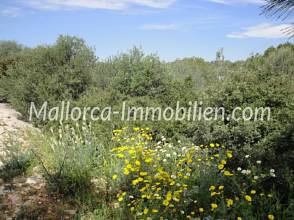 BAUGRUNDSTÜCK IN DER HAFENANLAGE VON CALA D'OR