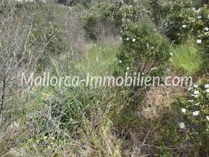 Thumbnail von BAUGRUNDSTÜCK IN DER HAFENANLAGE VON CALA D'OR