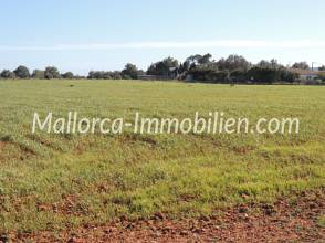 Thumbnail von GRUNDSTÜCK FÜR 1 HAUS MIT BERGBLICK